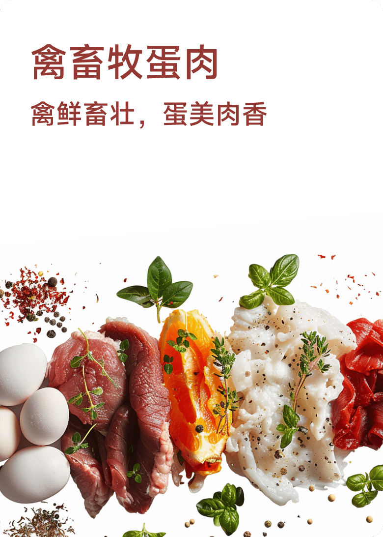 禽畜牧蛋肉