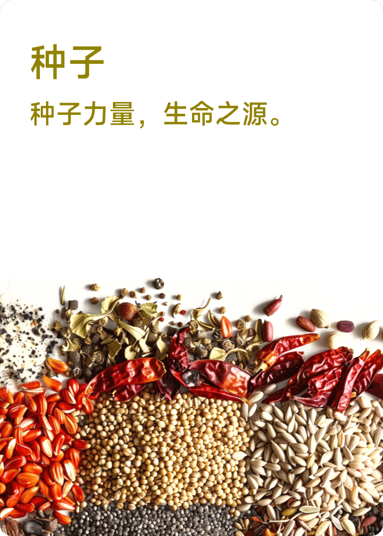 种子