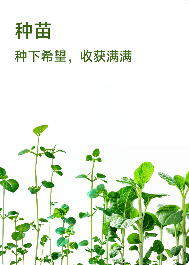 种苗