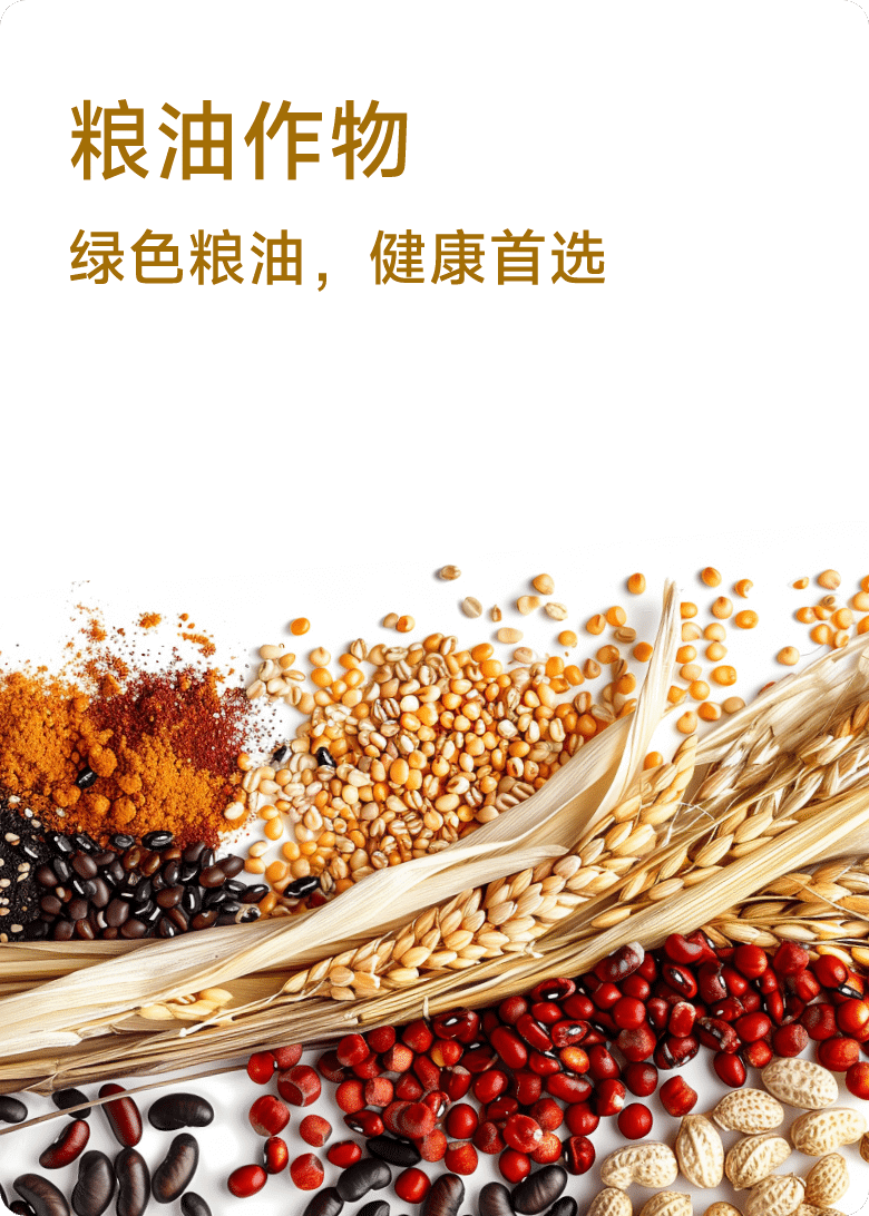 粮油作物