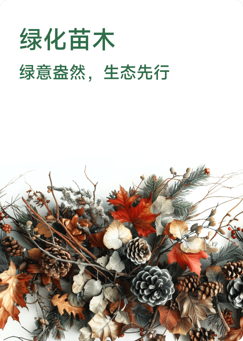 绿化苗木