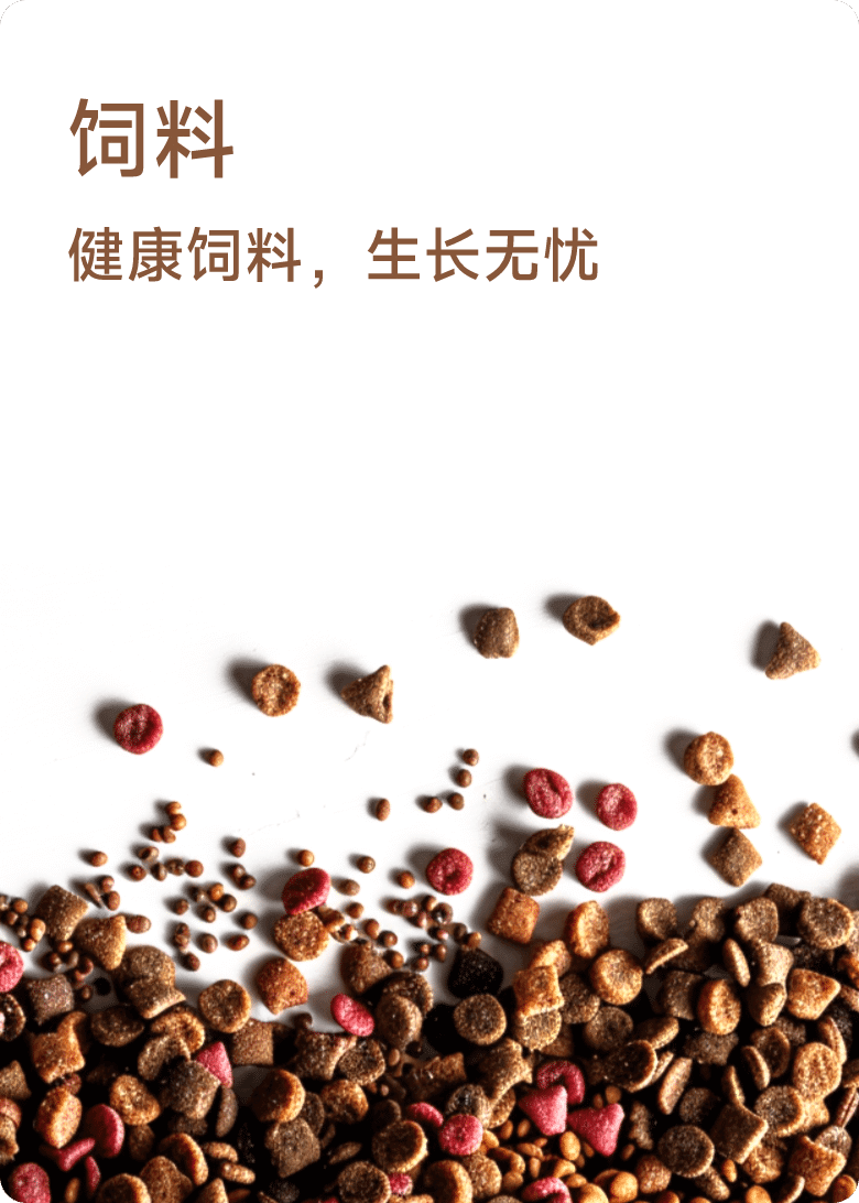 饲料